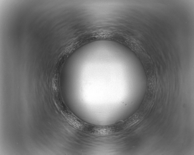 X0000060810755200512011759