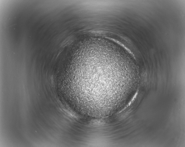X0000060810765200512011800