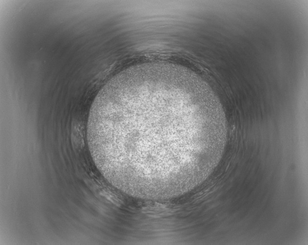 X0000060810772200512011759