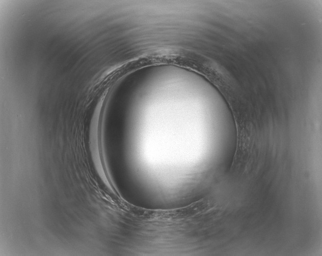 X0000060810773200512011759