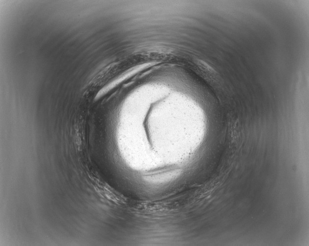 X0000060810774200512011759