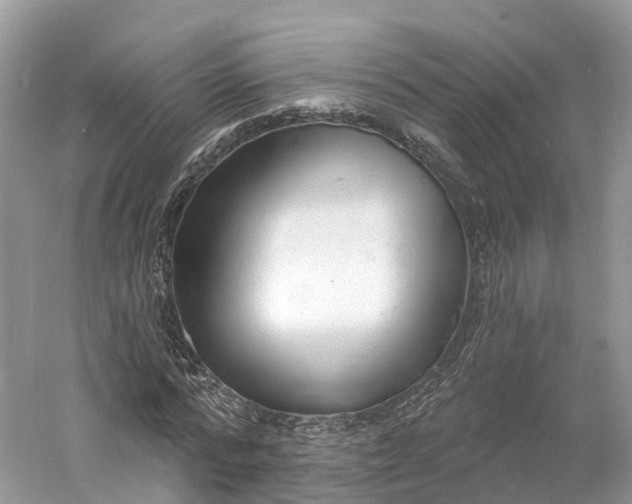 X0000060810776200512011759
