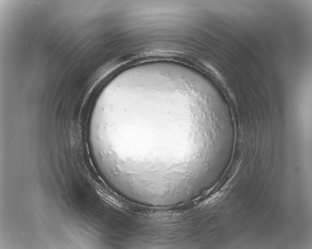 X0000060810779200512011759