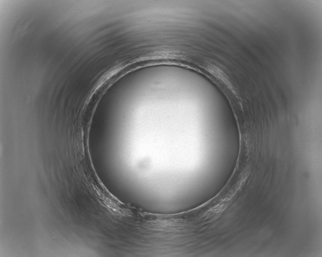 X0000060810781200512011759