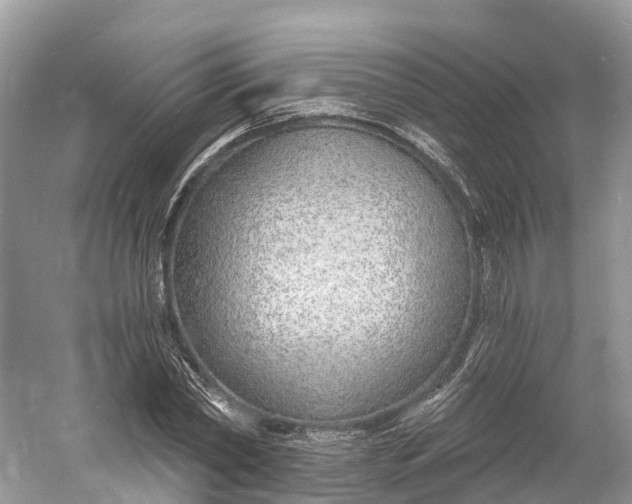 X0000060810782200512011759
