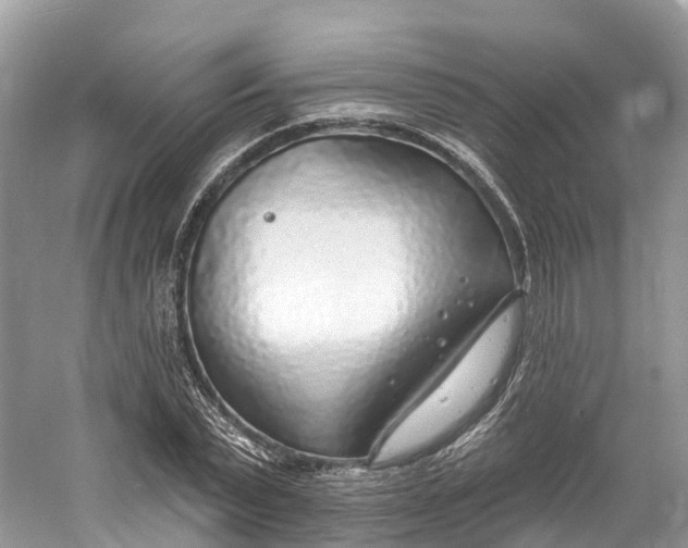 X0000060810783200512011759
