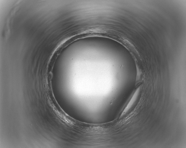 X0000060810784200512011758