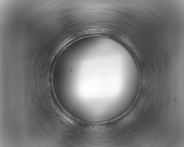 X0000060810786200512011758
