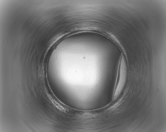 X0000060810787200512011758