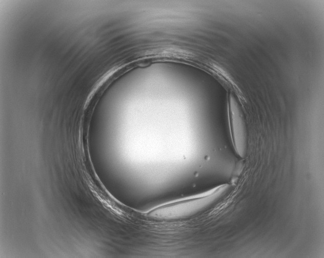 X0000060810788200512011758