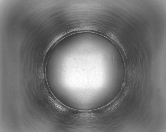 X0000060810789200512011758