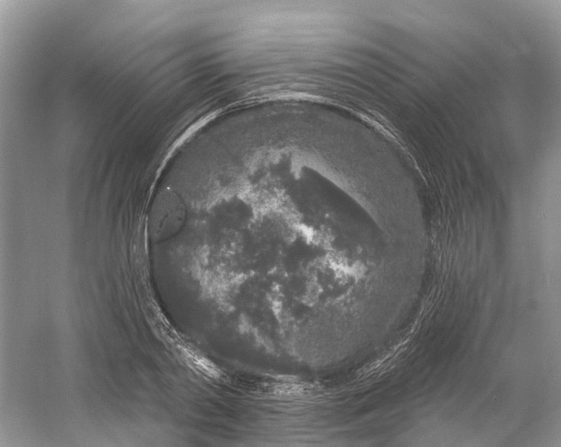 X0000060810790200512011758