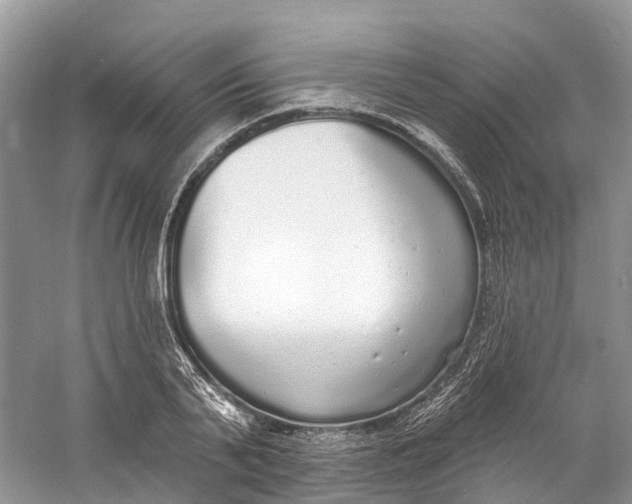 X0000060810791200512011758
