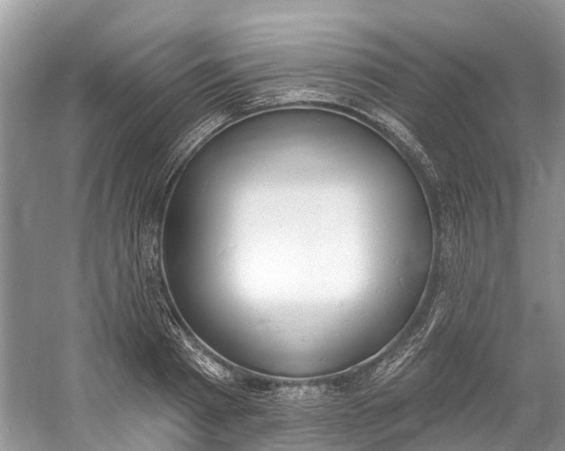 X0000060810793200512011758