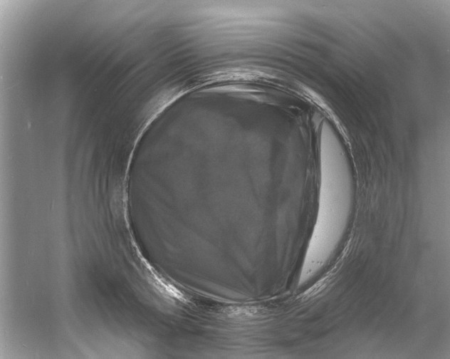 X0000060810802200512011758