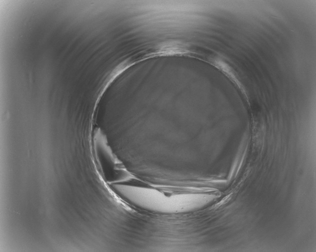 X0000060810810200512011758