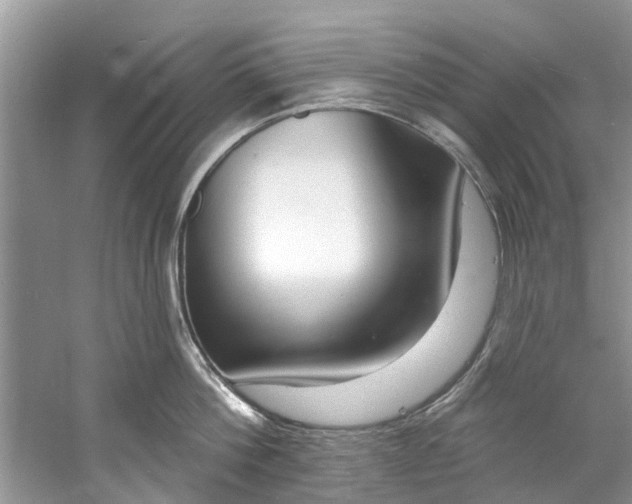 X0000060810812200512011758