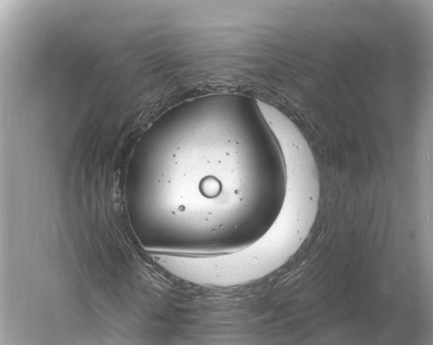 X0000060810818200512011757