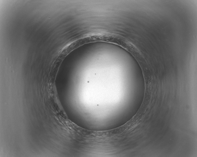 X0000060810822200512011757
