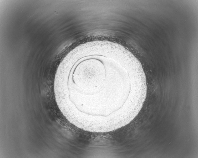 X0000060810824200512011757