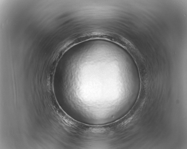 X0000060810825200512011757