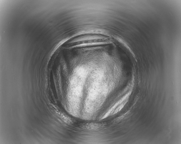 X0000060810829200512011757