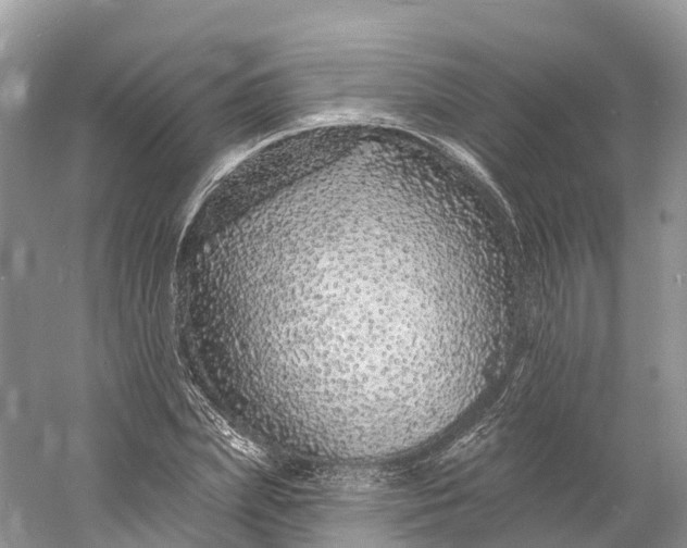 X0000060810831200512011757