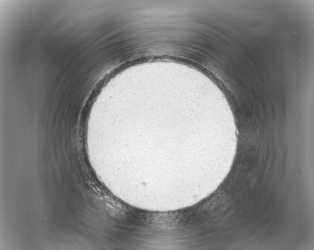 X0000060810832200512011757