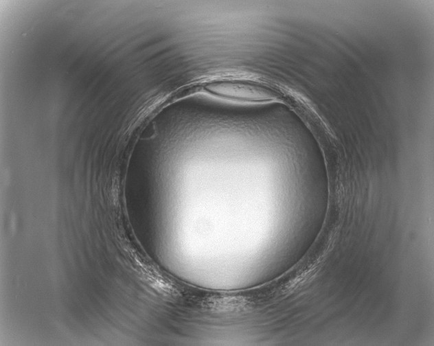X0000060810833200512011757