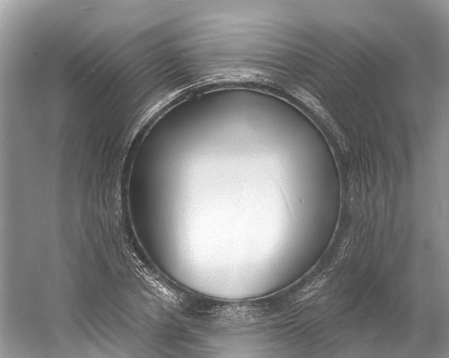 X0000060810834200512011757