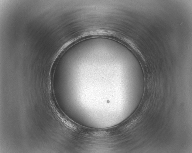 X0000060810837200512011757