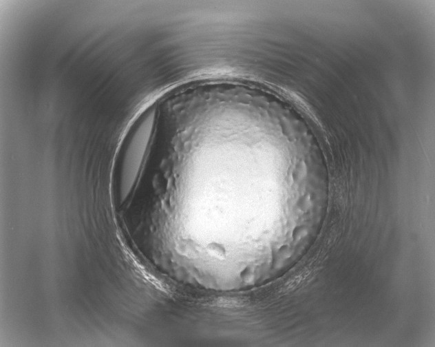 X0000060810839200512011757