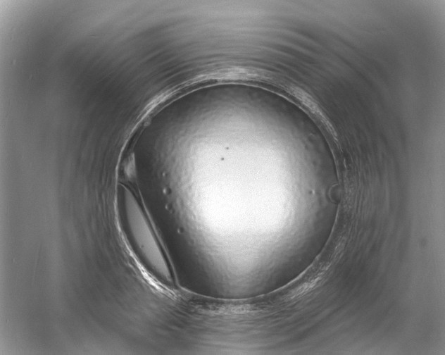 X0000060810845200512011758