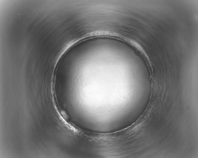 X0000060810847200512011758
