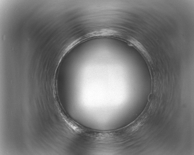 X0000060810850200512011758