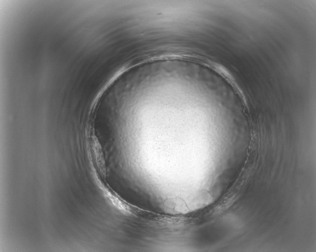 X0000060810859200512011758