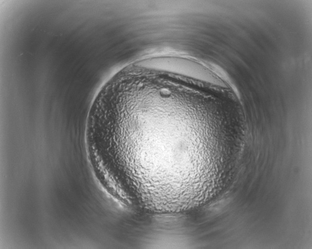 X0000060810863200512011758