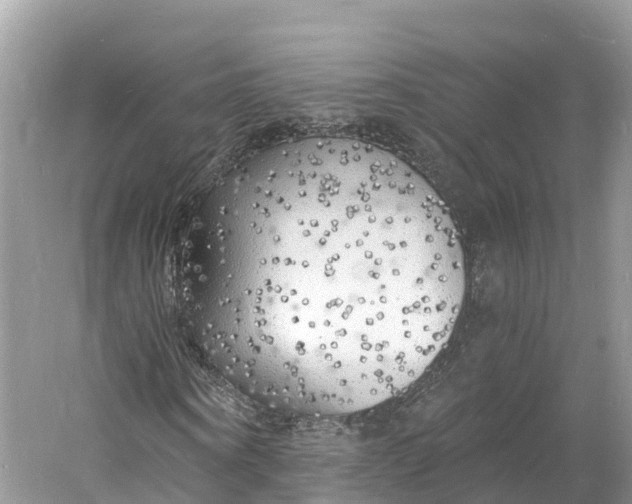 X0000060810866200512011757