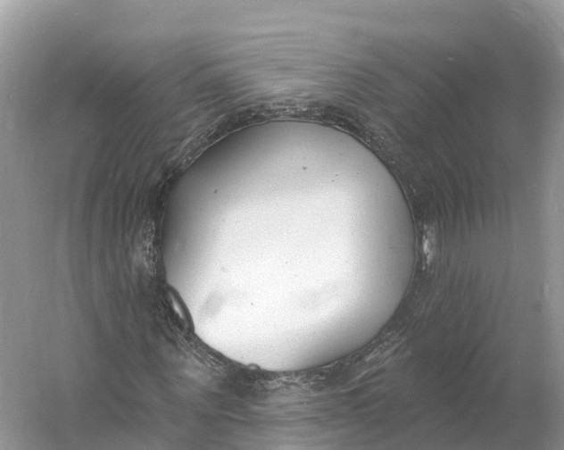 X0000060810867200512011757