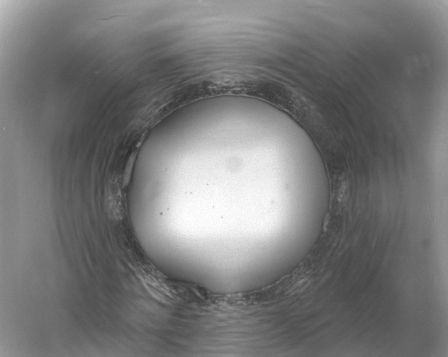 X0000060810868200512011757