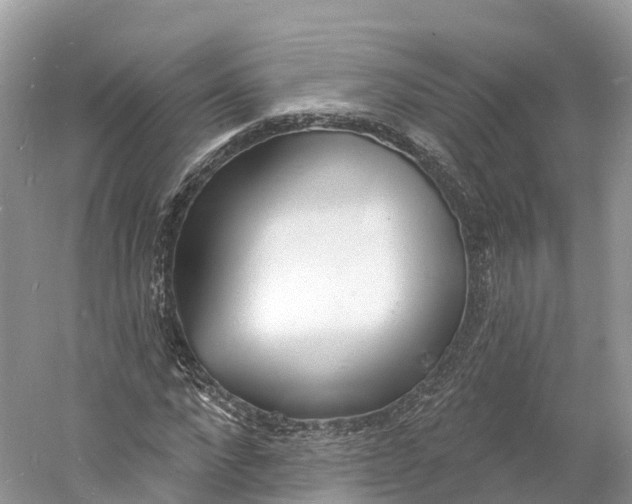 X0000060810872200512011757