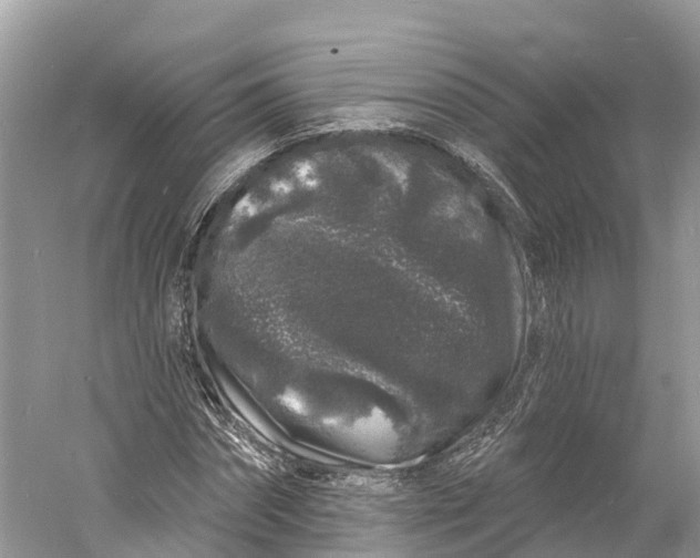X0000060810874200512011757