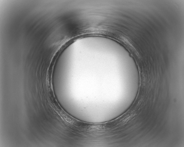 X0000060810883200512011757