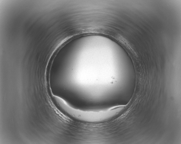 X0000060810884200512011757