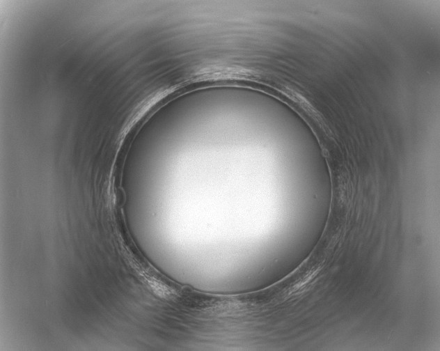 X0000060810885200512011757