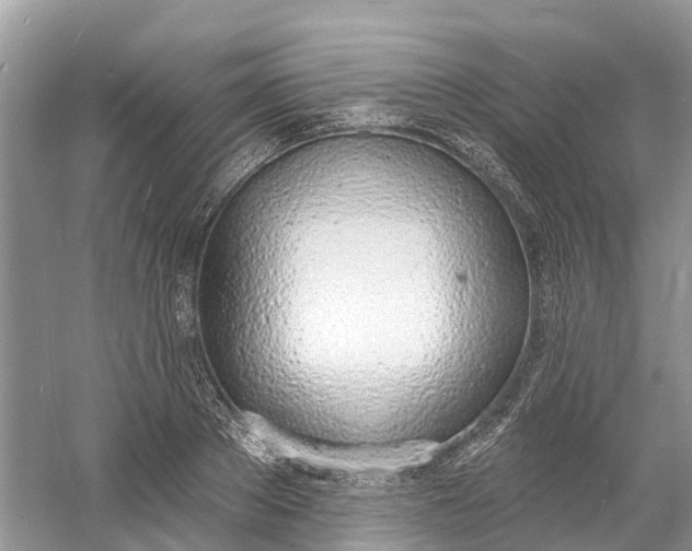 X0000060810889200512011757