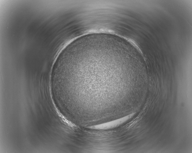 X0000060810895200512011757