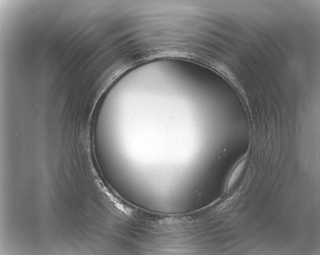 X0000060810898200512011757