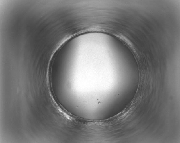 X0000060810902200512011756