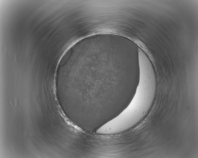 X0000060810904200512011756